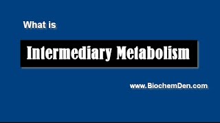 What is Metabolism Basics of Metabolism [upl. by Anirres378]