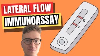 Lateral Flow Immunoassay LFIA EXPLAINED [upl. by Engleman]