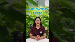 What Are Indicator Species Environmental Science Insights 🌿 Role of Indicator Species in Ecosystems [upl. by Judy]