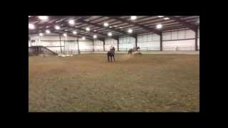 Team Roping Horses Mike Thornburg [upl. by Latsyk708]