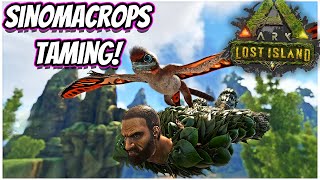 HOW TO TAME SINOMACROPS AND ITS ABILITIES  Ark Lost Island [upl. by Nyla82]