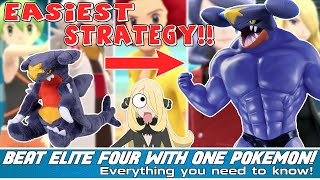 HOW TO beat the ELITE FOUR with only ONE Pokémon EASY and FAST Brilliant Diamond and Shining Pearl [upl. by Lucchesi52]