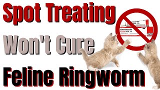 Why Spot Treating Doesnt Cure Ringworm in Cats [upl. by Remde]