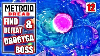 Metroid Dread  Find amp Defeat Drogyga Boss Fight in Burenia  Gameplay Walkthrough Part 12 [upl. by Werdma]