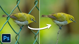 Libère lOiseau de sa Cage avec Photoshop amp lIA  Tutoriel [upl. by Orson]