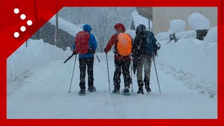 Continua a nevicare a Macugnaga accumuli ormai intorno al metro [upl. by Jenn]