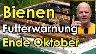 Futterwarnung Bienen Ende Oktober  letzte Arbeiten am Bienenvolk [upl. by Penelopa]