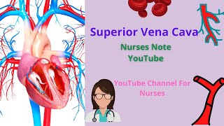 Superior Vena Cava Cardiovascular System SVC Obstruction  Superior Vena Cava Nurses Note YouTube [upl. by Sonnnie]