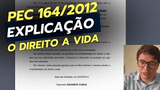 Entenda o que propõe a PEC 1642012 A PEC DO DIREITO A VIDA [upl. by Hairam126]