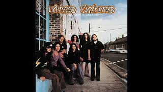 Lynyrd Skynyrd  Simple Man HQ [upl. by Lanni]