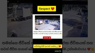 මිනිස්සු බනින බස් කාරයෙක්ම තමයි මේත් 😍❤️ automobile shortvideos new [upl. by Barbur]