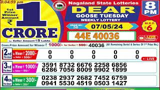 Dear goose tuesday weekly lottery 8PM 07052024 [upl. by Adnerad723]