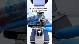 Red Bull check in microscope👀😱shortsfeedmrzthoppim4tech shorts [upl. by Bobbi]