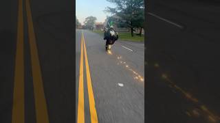 Sportster wheelie harleylife motorcycle bikelife harleys harleydavidson bikers fyp ftp [upl. by Alyahs]