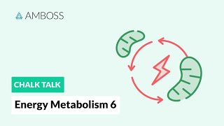 Energy Metabolism  Part 6 The Citric Acid Cycle with molecular structures [upl. by Asante]