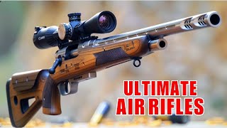 Top 6 Best Air Rifles Perfect for Big Game Hunting [upl. by Leigh]