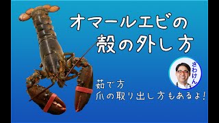 解説！オマール海老（ロブスター）の殻のむき方＆爪の割り方。Comment découper du homard [upl. by Nnaylloh]