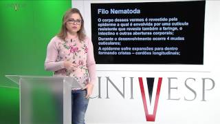 Zoologia de Invertebrados  Aula 11  Filo Gastrotricha Filo Nematomropha Filo Kinorhyncha F [upl. by Ycnan]