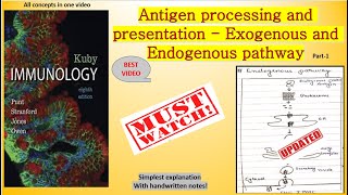 Cytosolic pathway of antigen processing and presentation All the steps with Questions and Answers [upl. by Supple601]