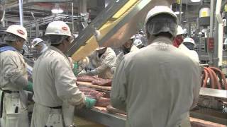 Pork Exports Rocket Up Look Promising in 2012 [upl. by Repsag861]