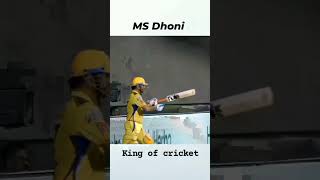 dhoni song music bollywood newsong comedy movie comedyfilms 5000k [upl. by Howlan]