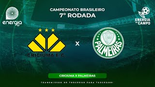 CRICIUMA X PALMEIRAS  02062024  BRASILEIRÃO  AO VIVO [upl. by Mackenie]