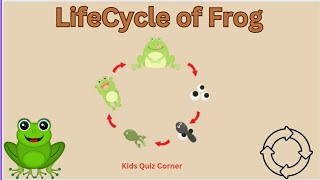 Lifecycle of Frog  class 4  EVS youtubevideo class4evs [upl. by Ised]