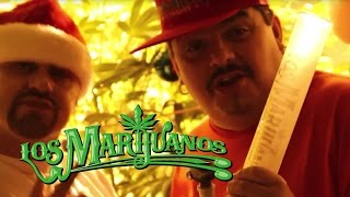 Los Marijuanos  Marijuana Tree  Music Video LosMarijuanos [upl. by Anailli93]