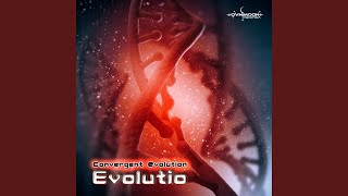 Convergent Evolution Original Mix [upl. by Nosoj]