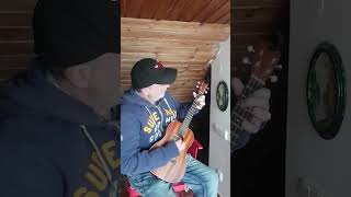 Baritone Ukulele  12 Bar Blues in EADG Tuning [upl. by Esila]