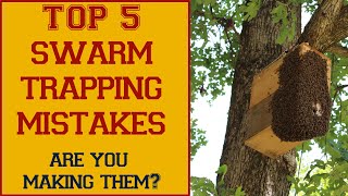 Are YOU Making These Top 5 Swarm Trapping Mistakes [upl. by Brieta417]