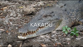 KAKADU [upl. by Aisanat838]