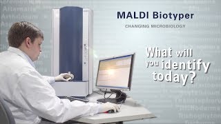 MALDI Biotyper System [upl. by Yunfei]