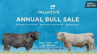 Palgrove 2022 Bull Sale Preview [upl. by Giselle]