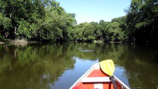 Tippecanoe River Solo canoe trips Tippecanoe River State Park Winamac Indiana [upl. by Coke284]