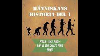 2 Människans historia del 1  Fossil Lucy Ardi  Har vi utvecklats från apor [upl. by Tadich]