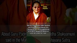 Buddha Shakyamunis Prophecy to Guru Padmasambhava by Dudjom Rinpoche [upl. by Neerac680]