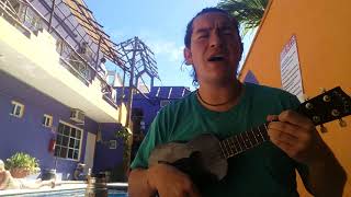 Vicente García  Espuma y arrecife ukulele cover por Pinocarlos [upl. by Nnyladnarb804]