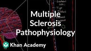 Multiple sclerosis pathophysiology  Nervous system diseases  NCLEXRN  Khan Academy [upl. by Aivun638]