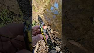 Storm thunderstick lure lurefishing [upl. by Aid]