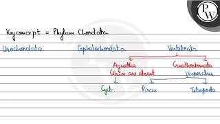 Fill in the blanks \ \mathrmP \ Vertebrata W  1 asubphylum bchondrichthyes costeicht [upl. by Lusa]