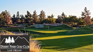 Course Review  Desert Pines Golf Club  Las Vegas Nevada [upl. by Resarf103]