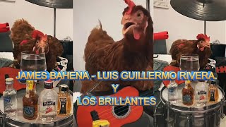 LA GALLINA  JAMES BAENA Y LUIS GUILLERMO RIVERA [upl. by Man]