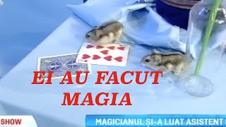 Magicianul Robert Tudor a adus soareci si iepurasi la Maruta in emisiune [upl. by Borszcz]