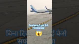 Indigo 6E✈️❤️ amazingfacts aeroplane airport flight indigo youtubevideos abudhabi facts [upl. by Ilyak954]