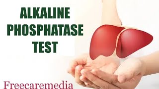 Alp test malayalam Alkaline phosphatase testliver livercancer liverfunction [upl. by Funch]