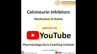 Calcineurin inhibitors Immunosuppressants Mechanism of action [upl. by Luapnhoj]