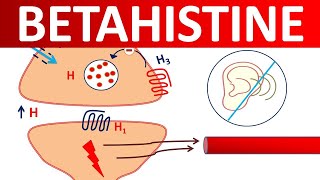 Betahistine tablets  Mechanism precautions side effects amp uses [upl. by Greff827]