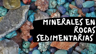 🌎 MINERALES en ROCAS SEDIMENTARIAS 😃⚒⛏ Componentes de las Rocas Sedimentarias 🗺🧭 [upl. by Toor]