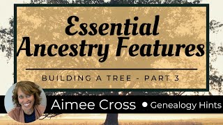 Essential Ancestry Tree Features amp US Draft Cards [upl. by Koran]